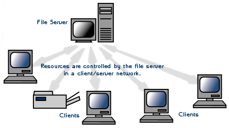 network-operating-system-2