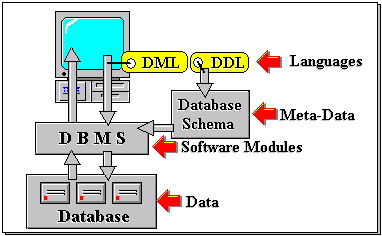 Architecture Database Systems-1