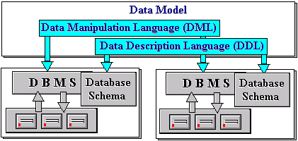 basic-relational-data-model-2