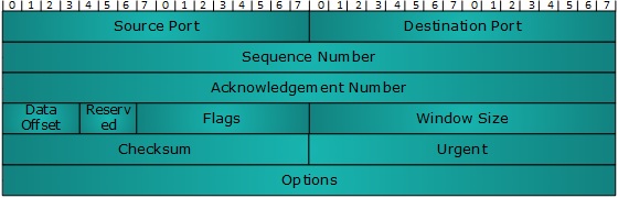 TCP Header